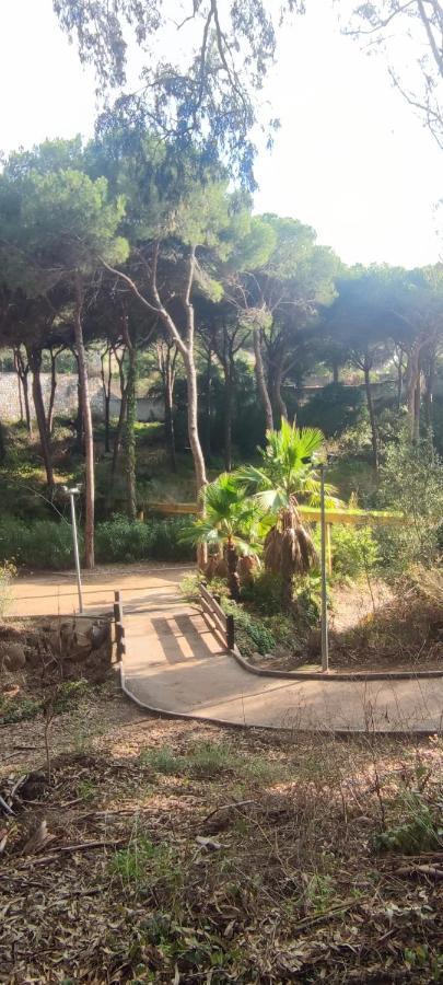 Beach Forest Paradise Марбелья Экстерьер фото